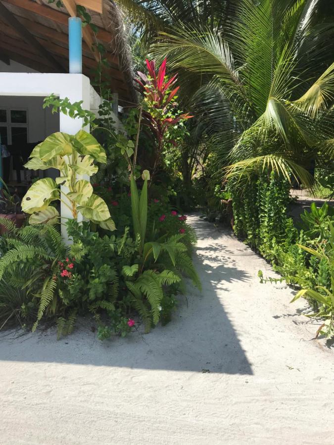Malas Island View Fulidhoo Luaran gambar